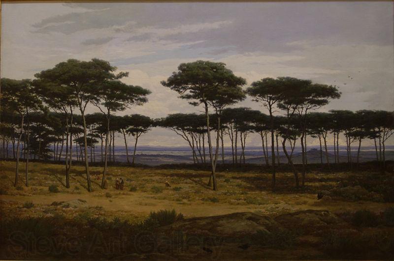 Alexandre N. Roussoff Les pins de Pledeliac Spain oil painting art